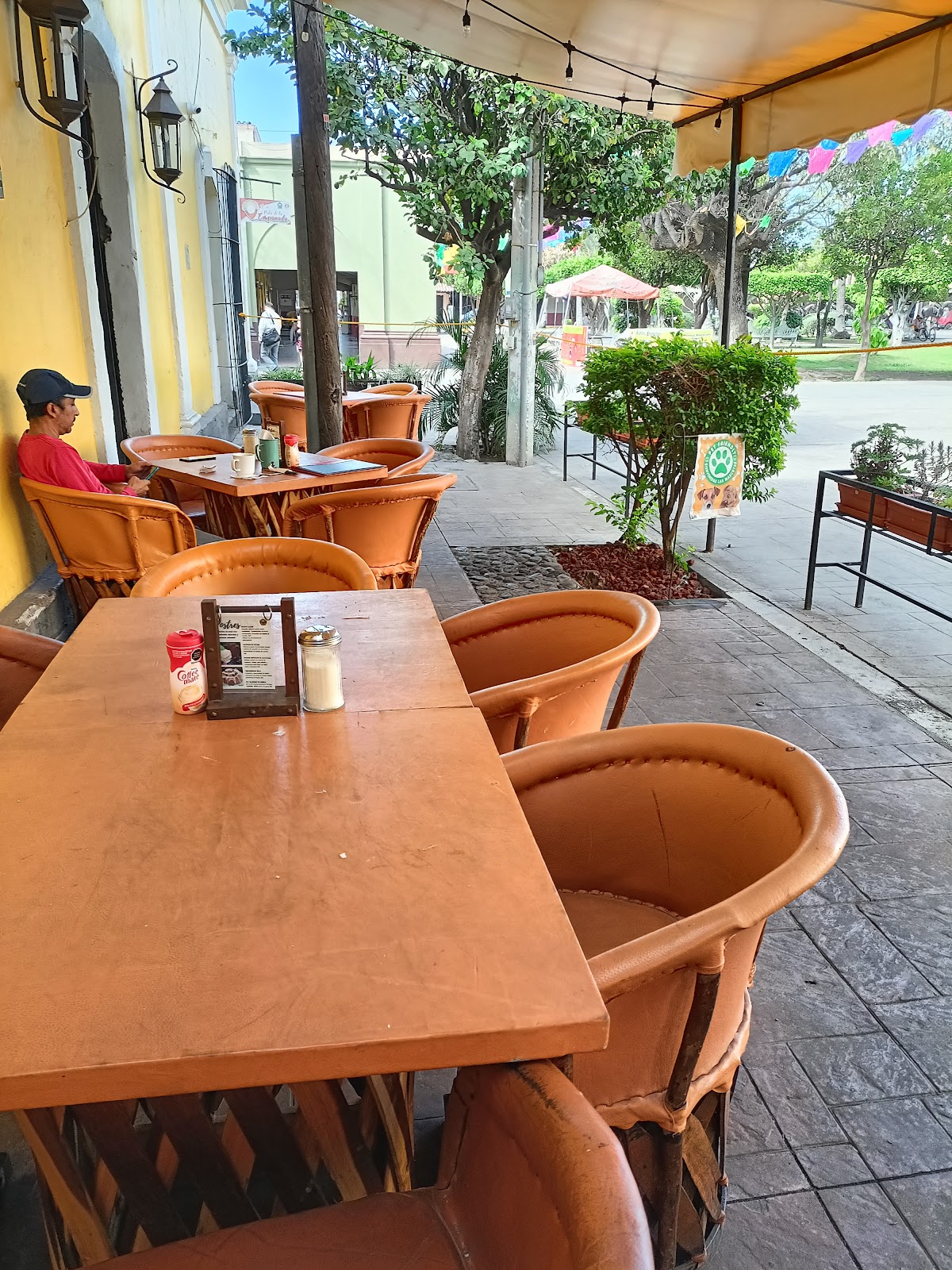 leetx-google-photo-46454-6 leetx-google-photo-46454-6