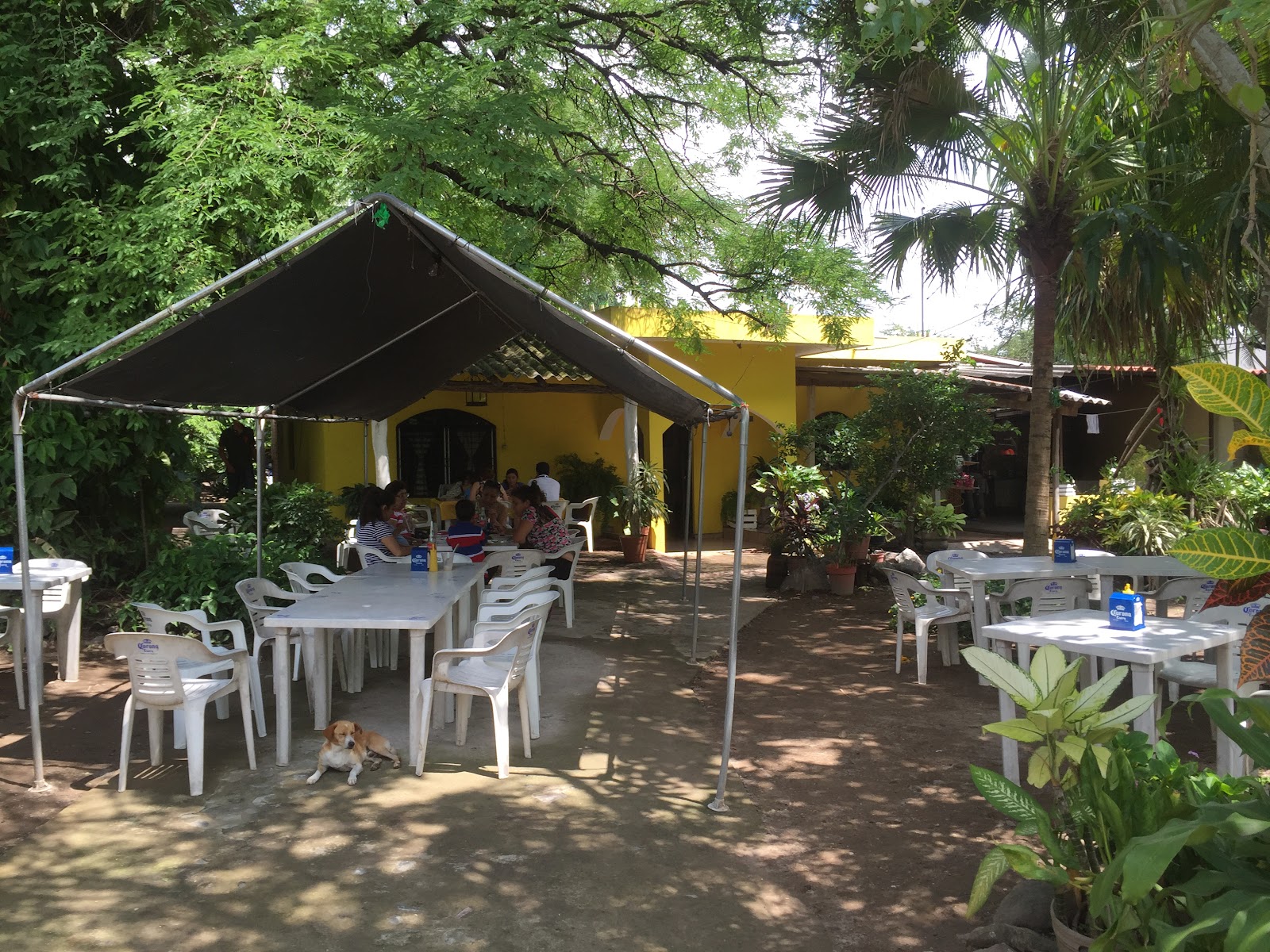 leetx-google-photo-46663-1