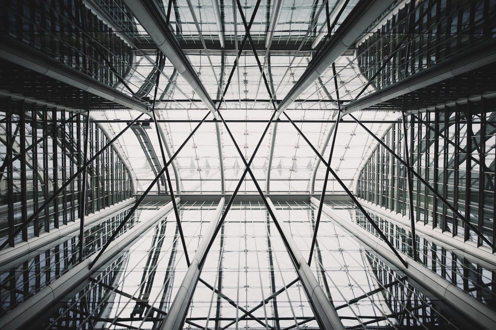 leetx-google-photo-46753-1