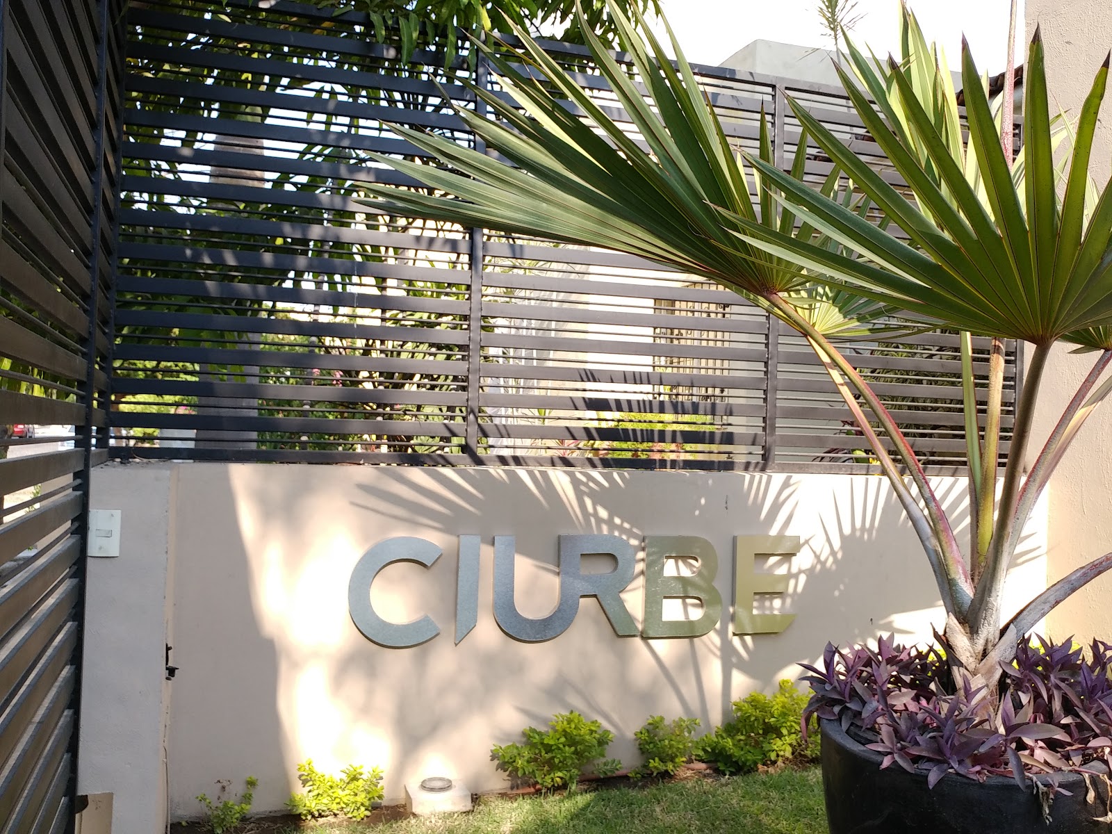 leetx-google-photo-46786-1