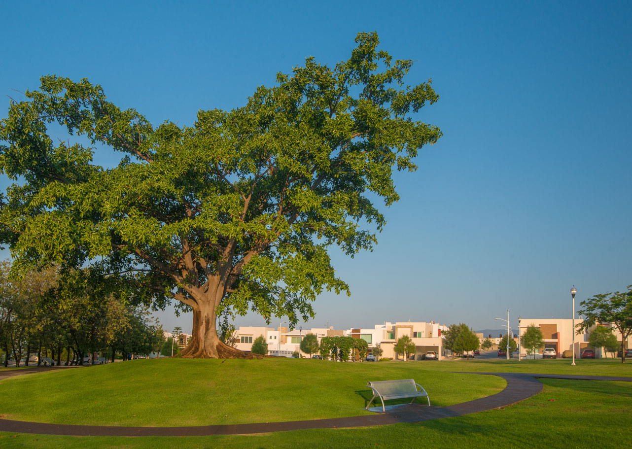 leetx-google-photo-46983-1