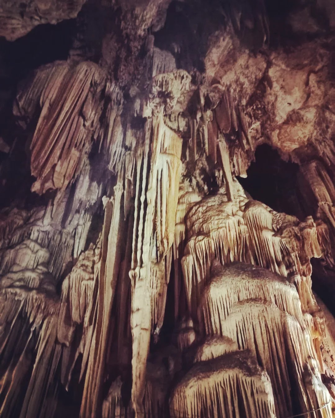 leetx-google-photo-47049-1