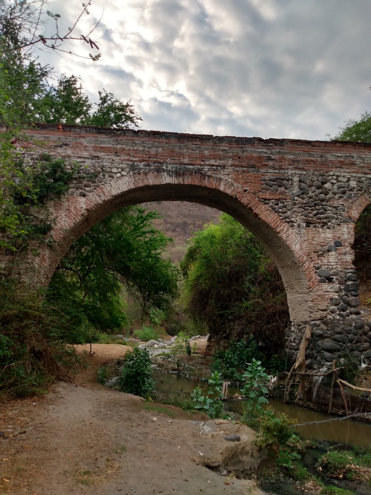 leetx-google-photo-47067-1