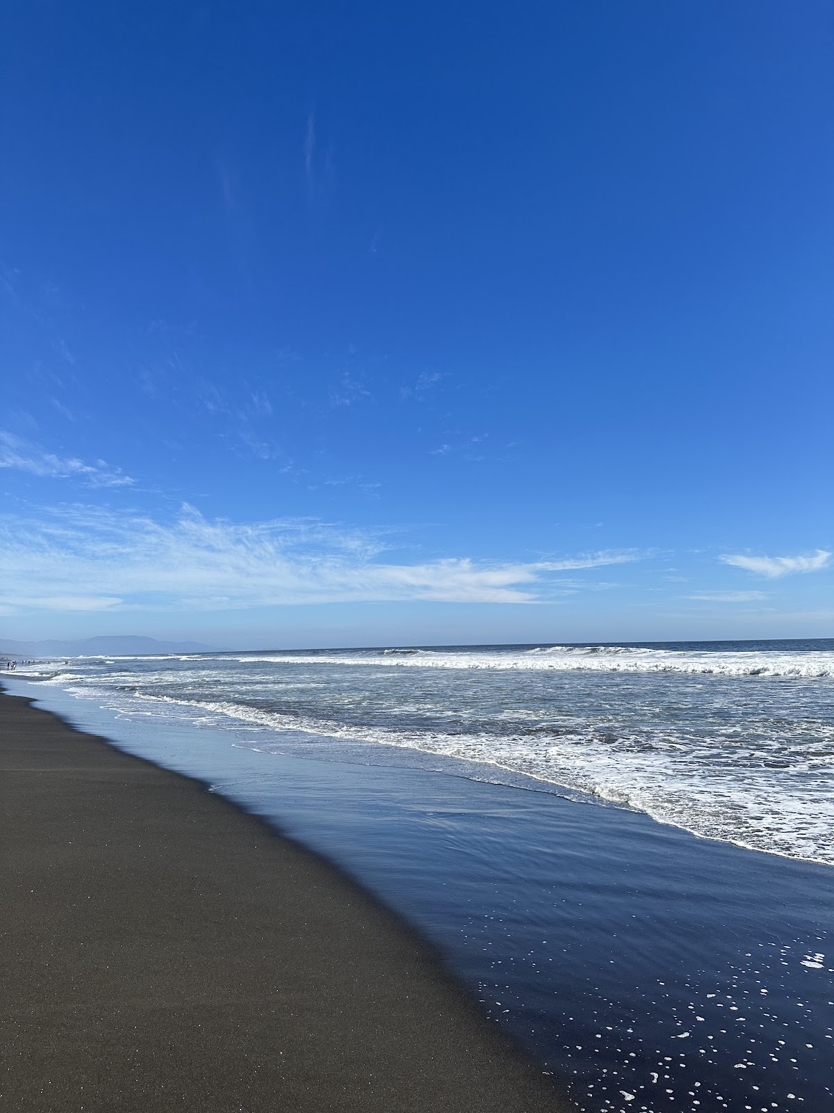 leetx-google-photo-47084-1