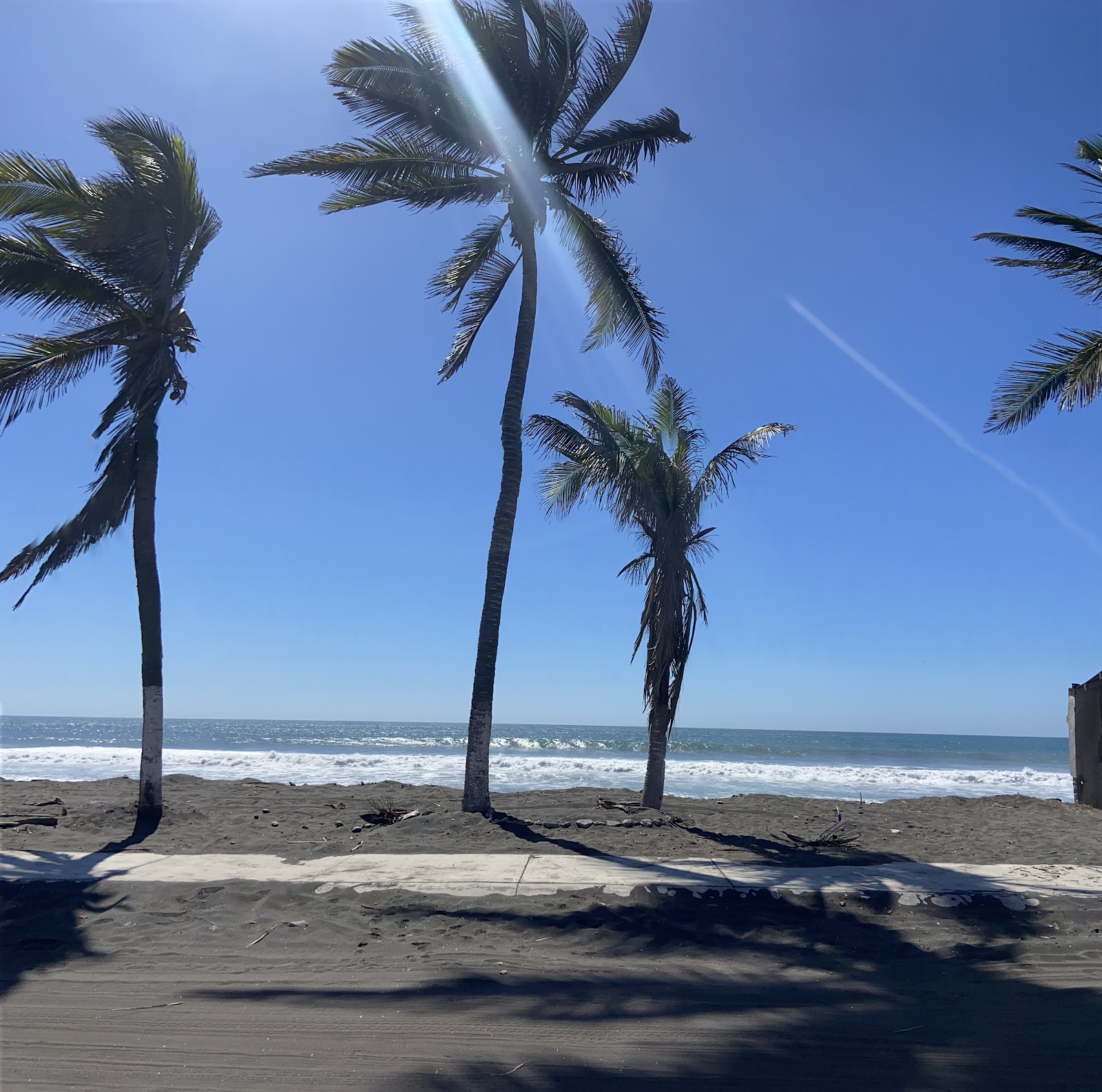 leetx-google-photo-47084-2 leetx-google-photo-47084-2