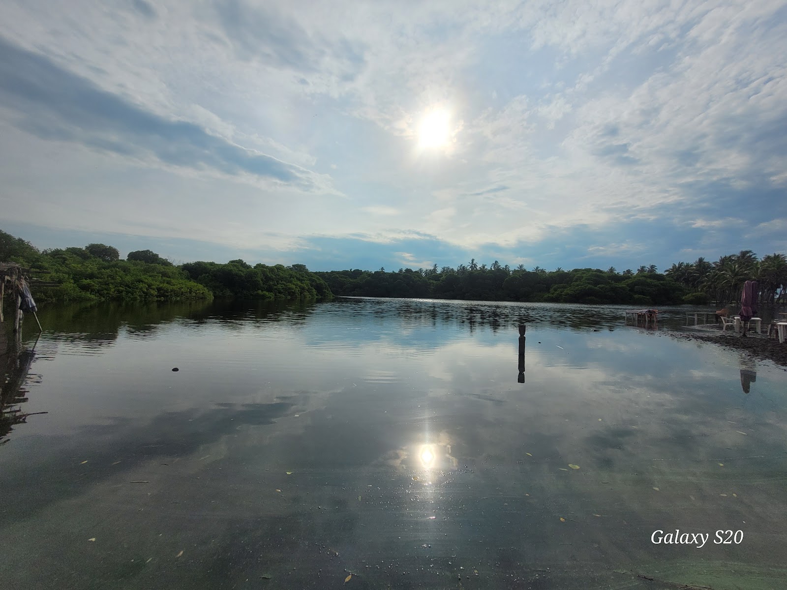 leetx-google-photo-47084-3 leetx-google-photo-47084-3