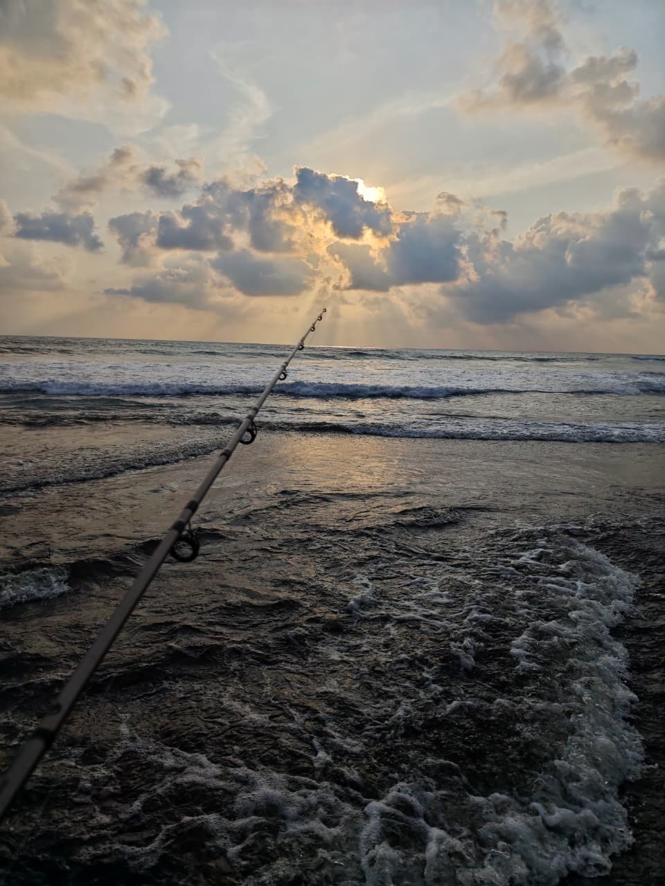 leetx-google-photo-47084-5 leetx-google-photo-47084-5