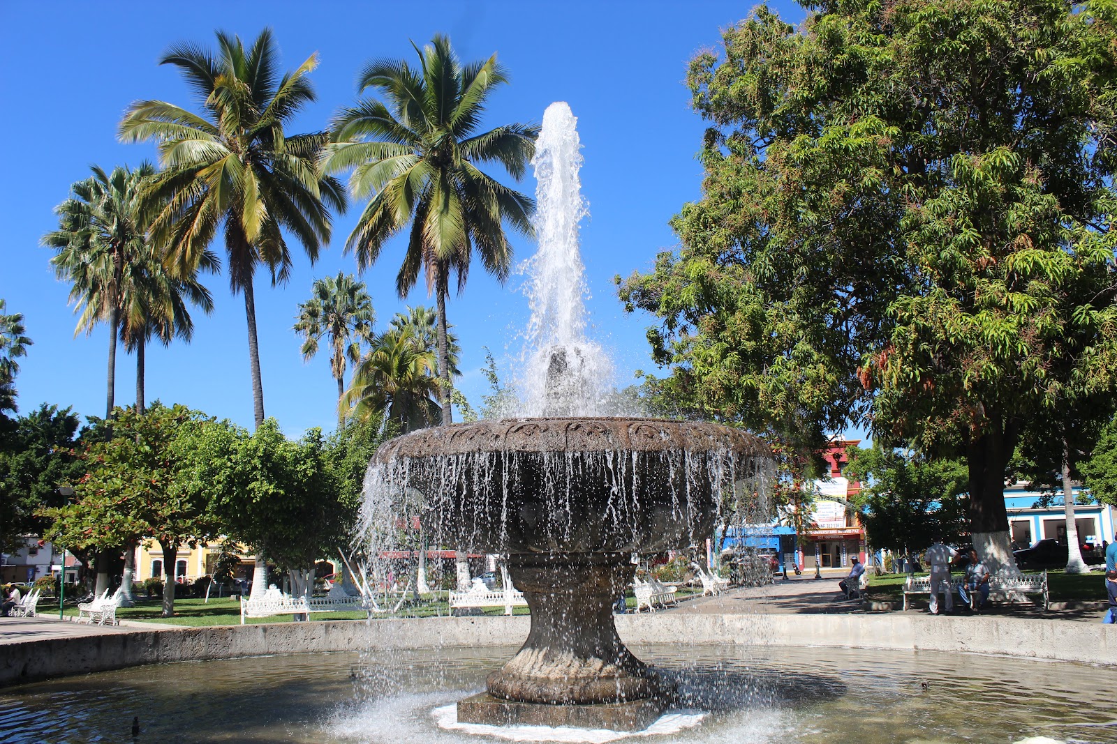 leetx-google-photo-47142-1