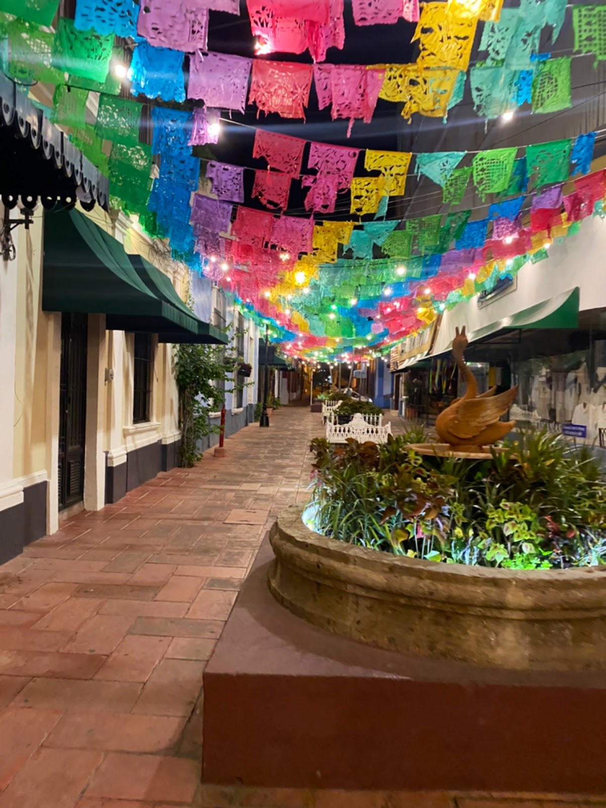 leetx-google-photo-47223-1