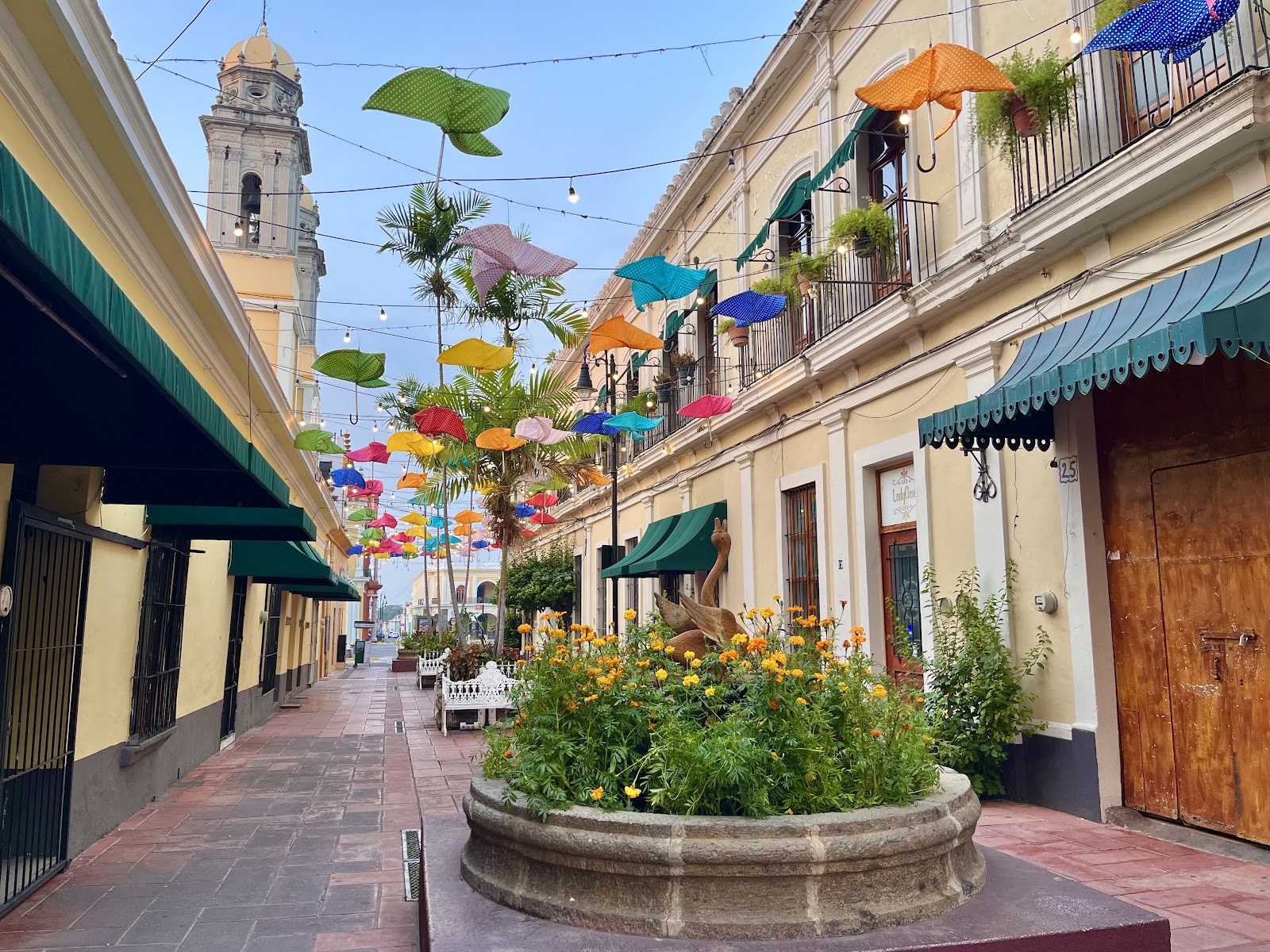 leetx-google-photo-47223-2 leetx-google-photo-47223-2