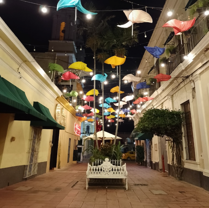 leetx-google-photo-47223-6 leetx-google-photo-47223-6