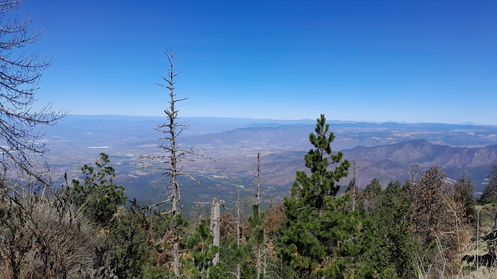 leetx-google-photo-47232-2 leetx-google-photo-47232-2