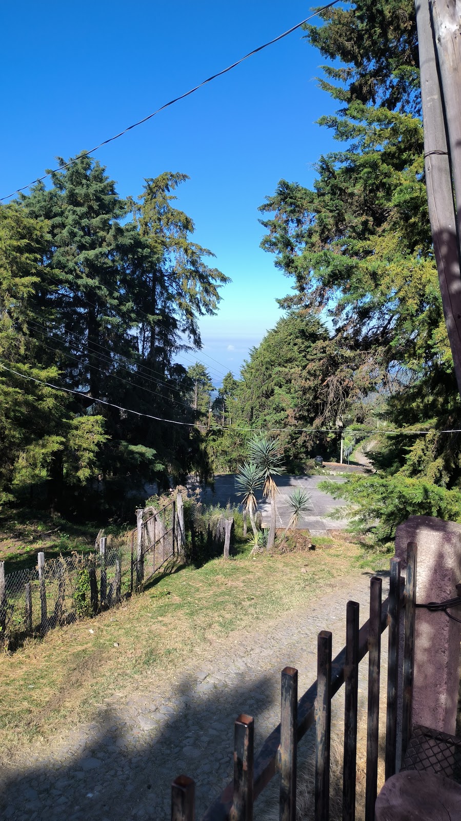 leetx-google-photo-47232-3 leetx-google-photo-47232-3