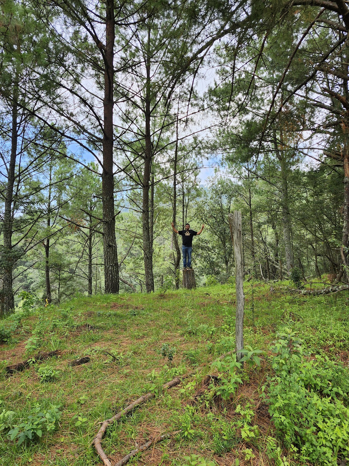 leetx-google-photo-47232-4 leetx-google-photo-47232-4