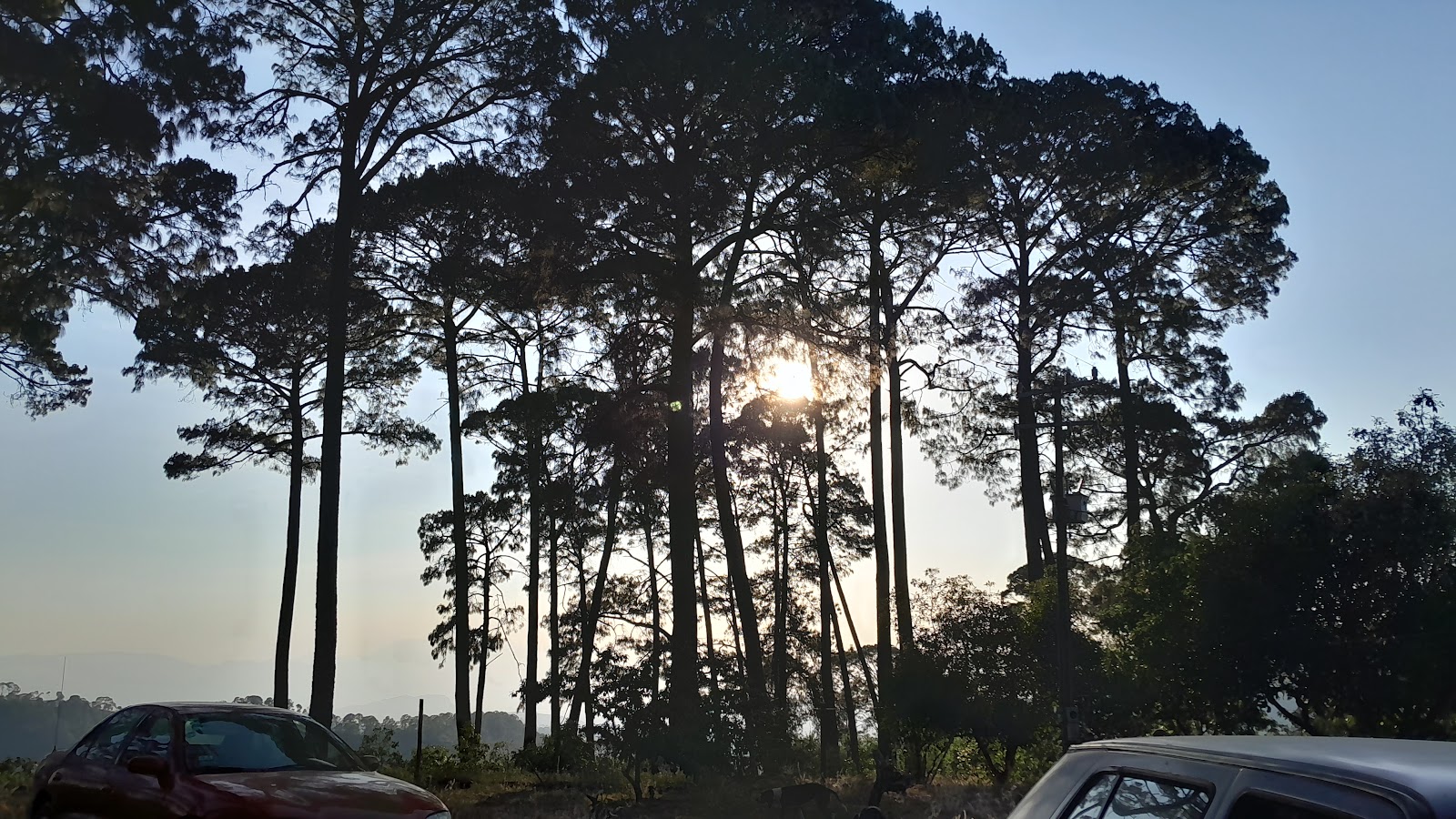 leetx-google-photo-47232-8 leetx-google-photo-47232-8