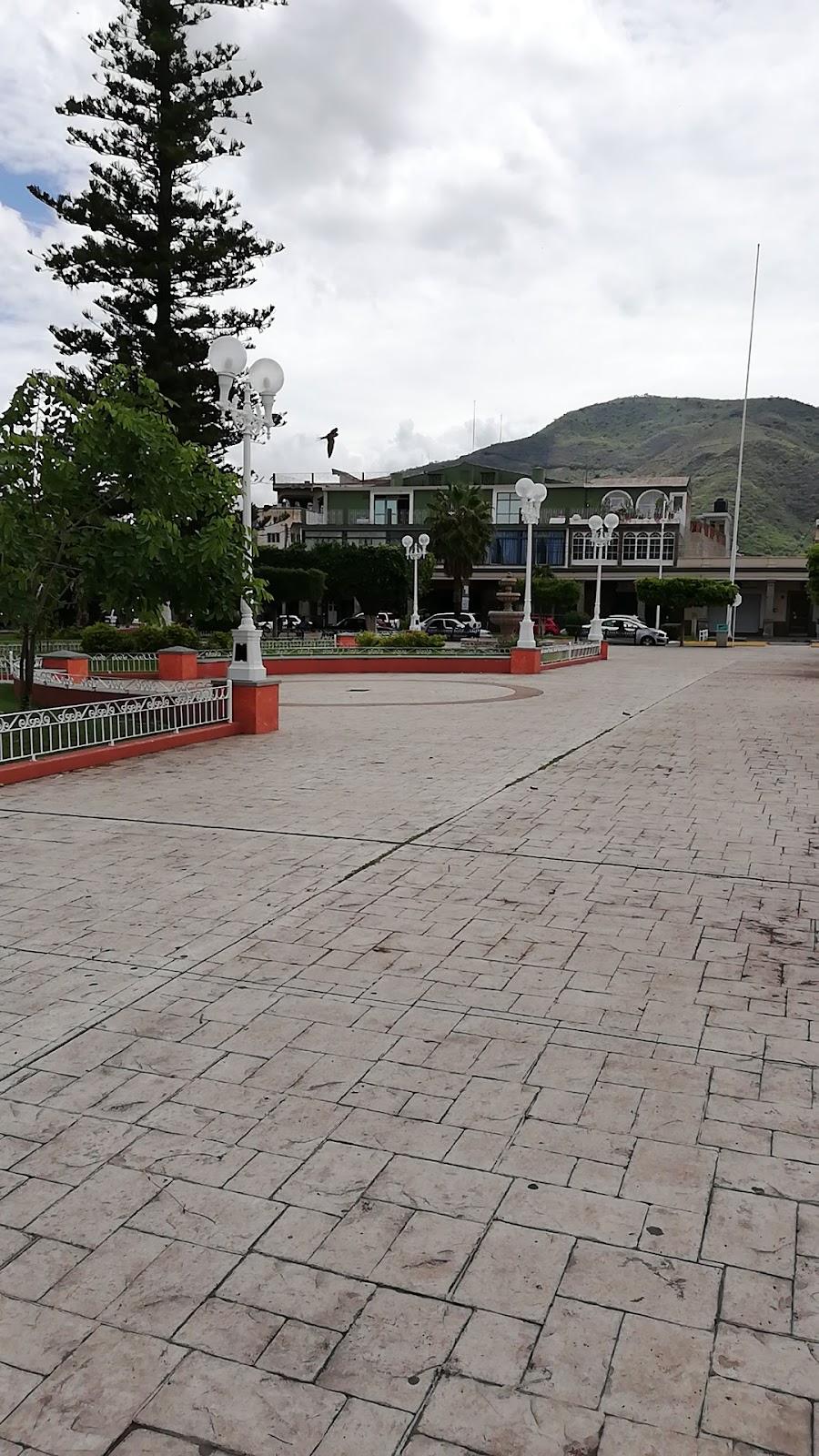 leetx-google-photo-47242-6 leetx-google-photo-47242-6