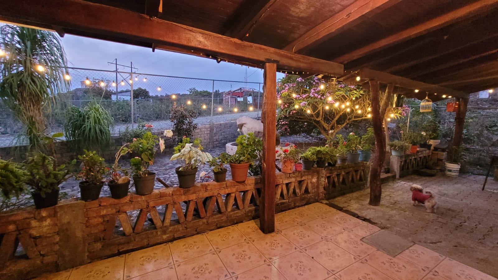 leetx-google-photo-47256-3 leetx-google-photo-47256-3