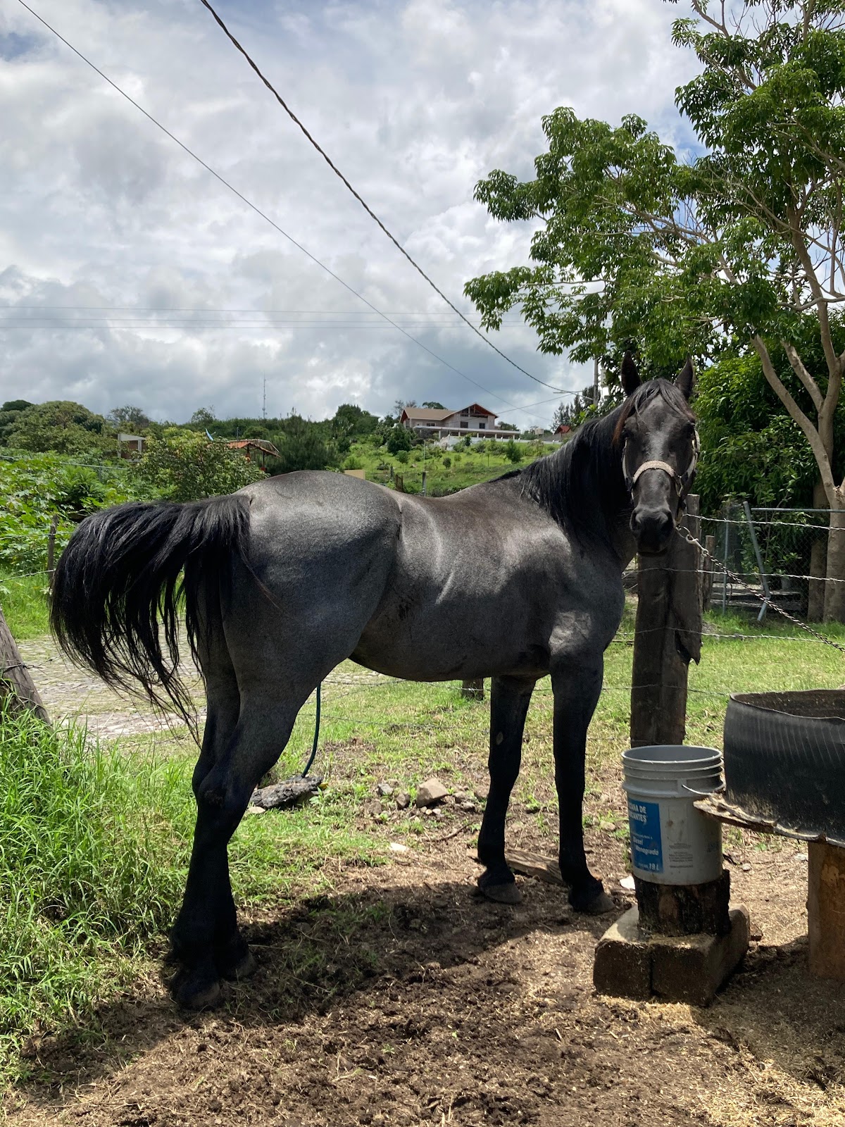 leetx-google-photo-47256-5 leetx-google-photo-47256-5