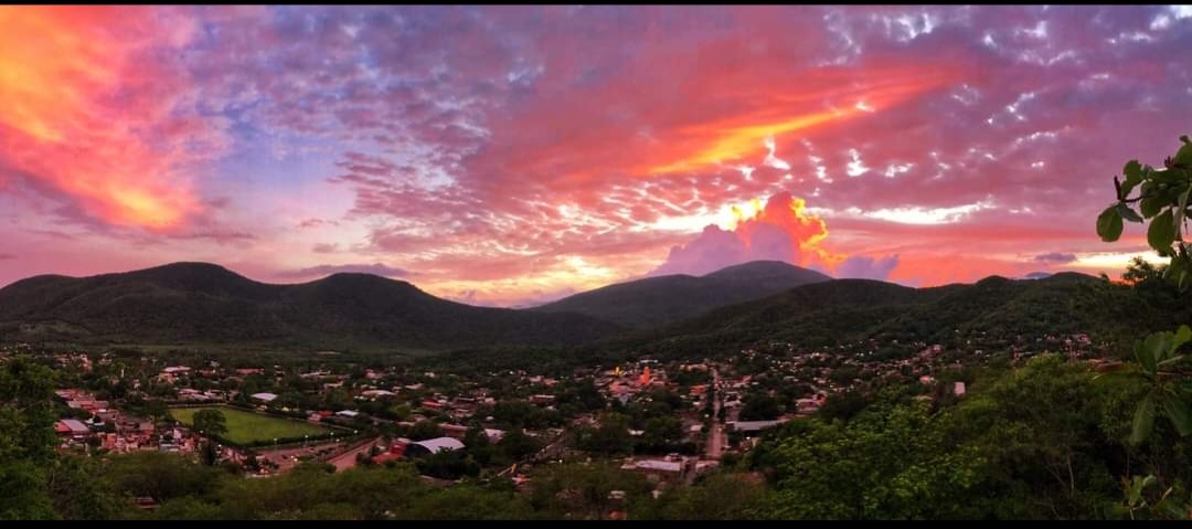 leetx-google-photo-47264-3 leetx-google-photo-47264-3