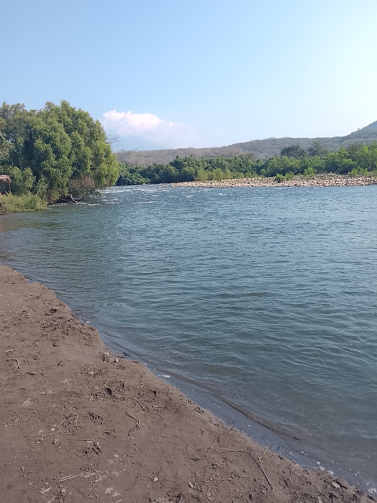 leetx-google-photo-47323-1