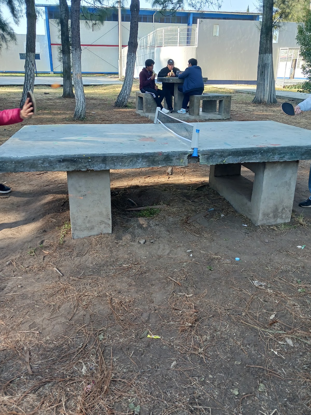 leetx-google-photo-47331-1