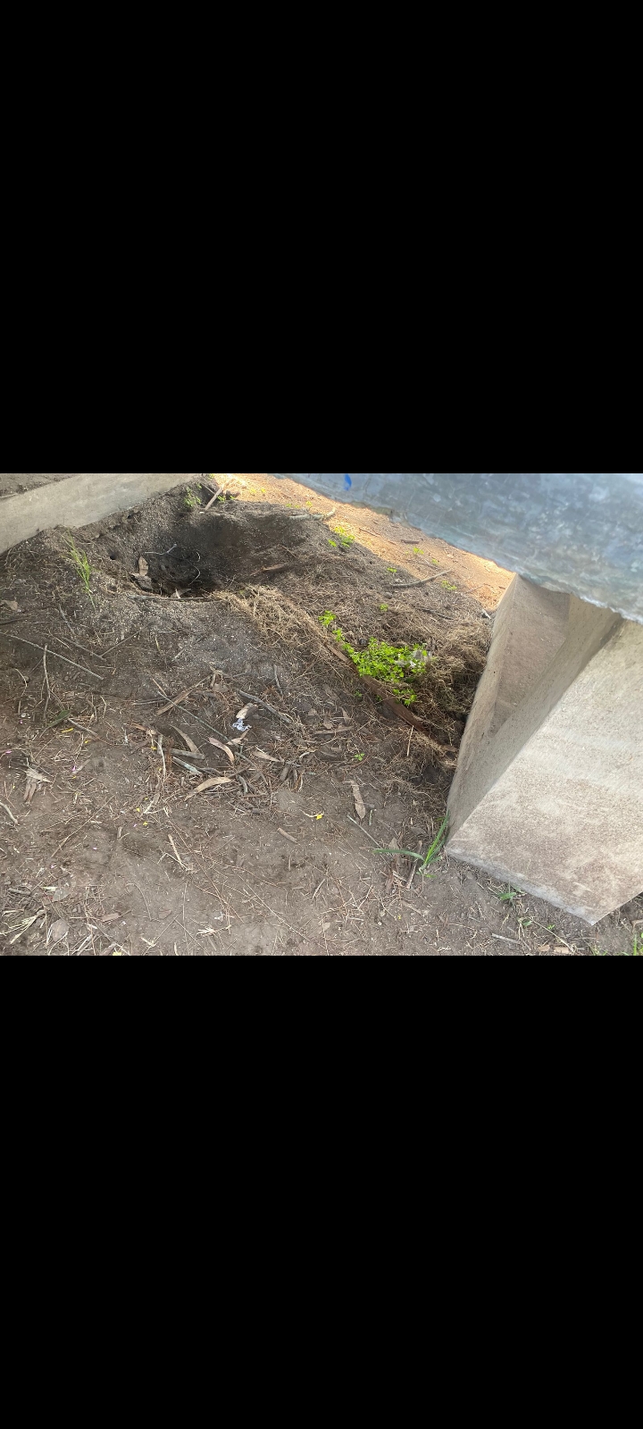 leetx-google-photo-47331-2 leetx-google-photo-47331-2