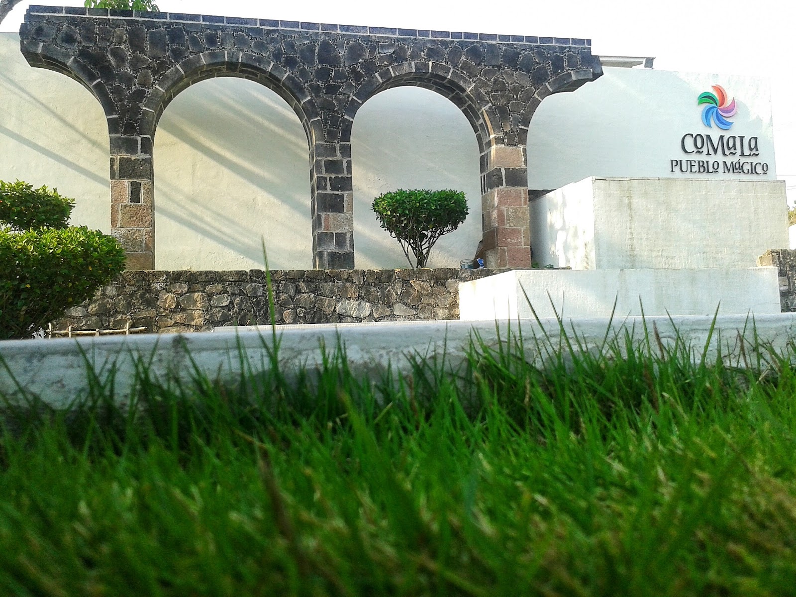 leetx-google-photo-47768-1