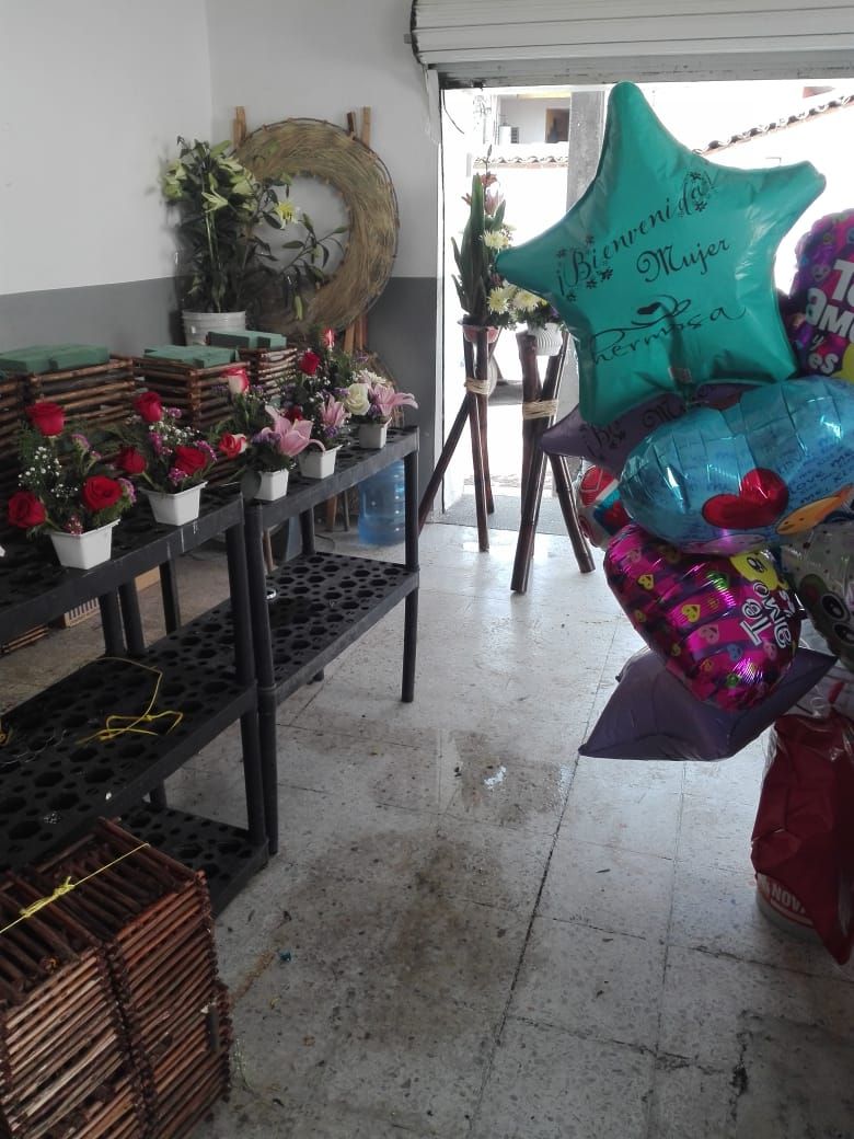 leetx-google-photo-47940-1