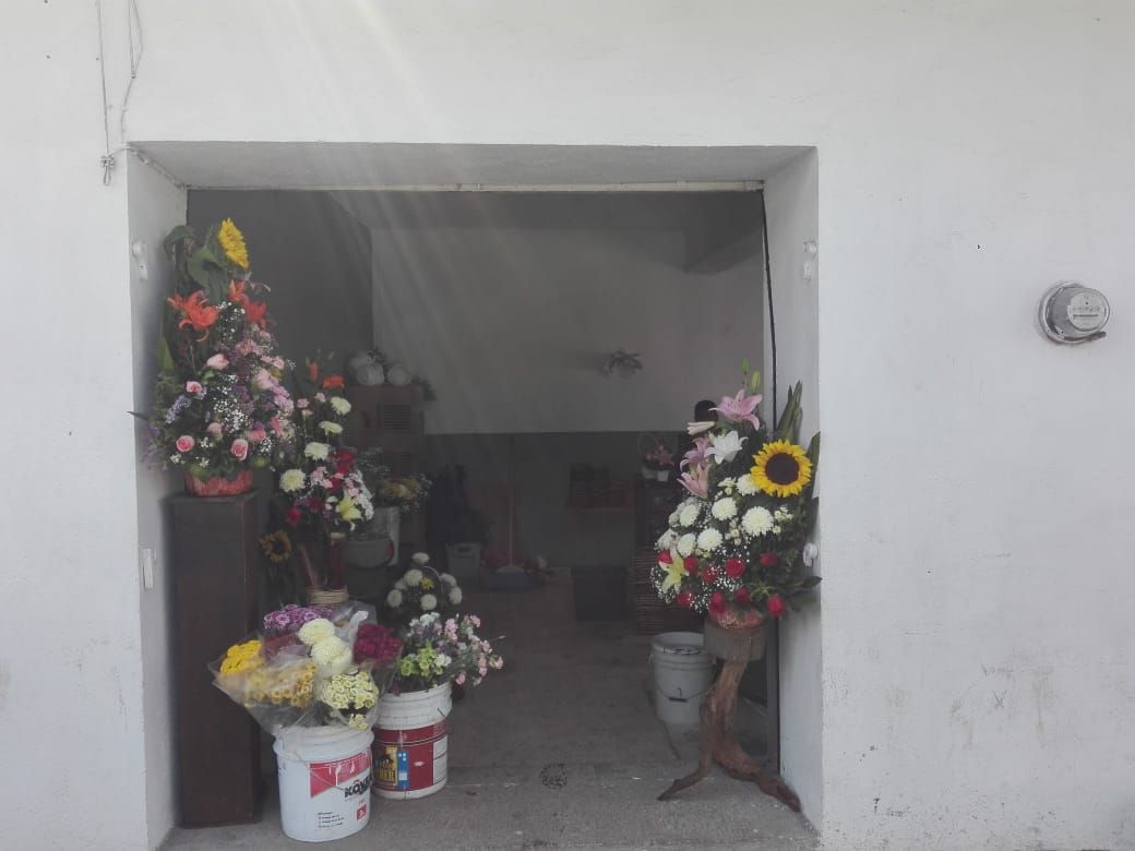 leetx-google-photo-47940-2 leetx-google-photo-47940-2