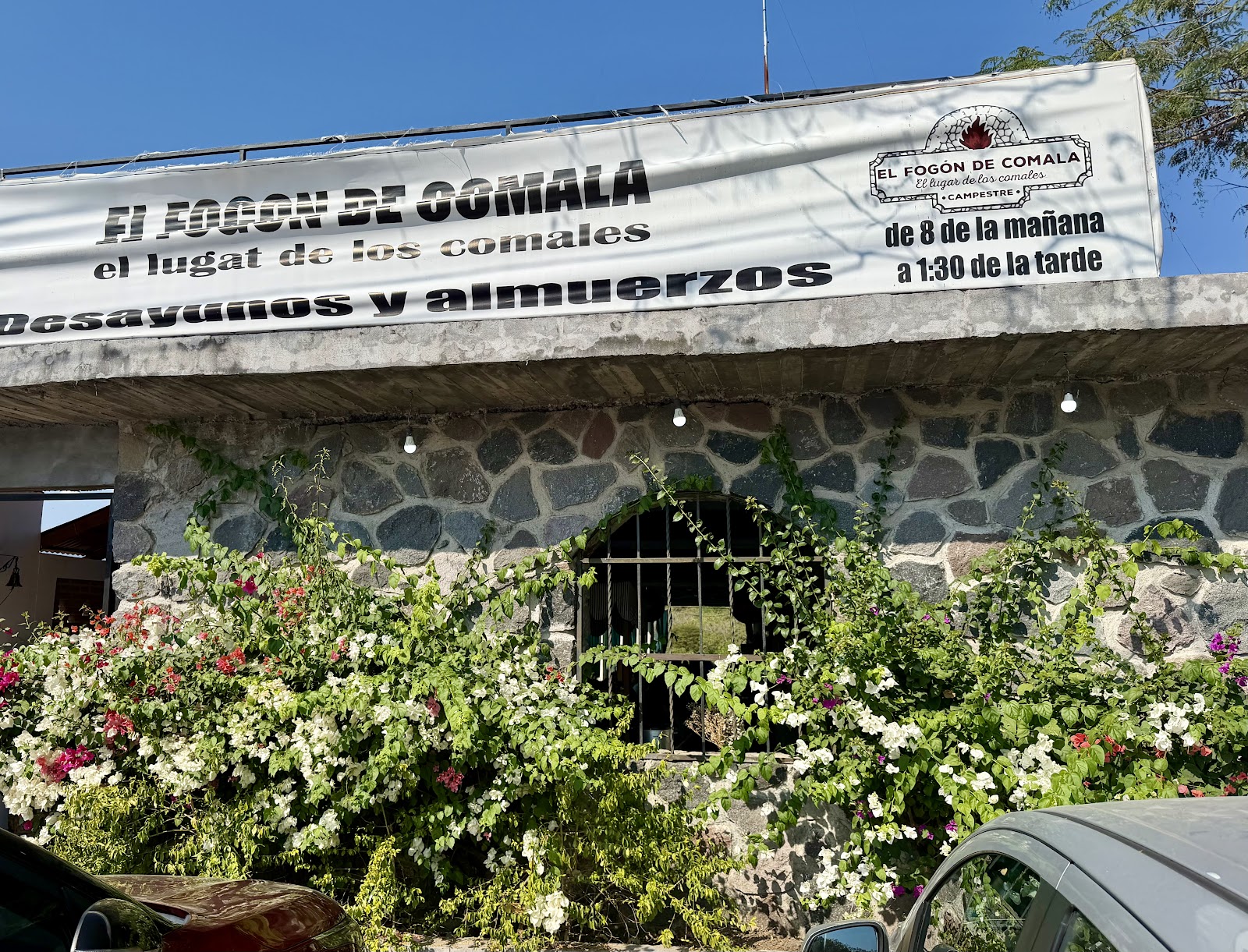 leetx-google-photo-48189-1