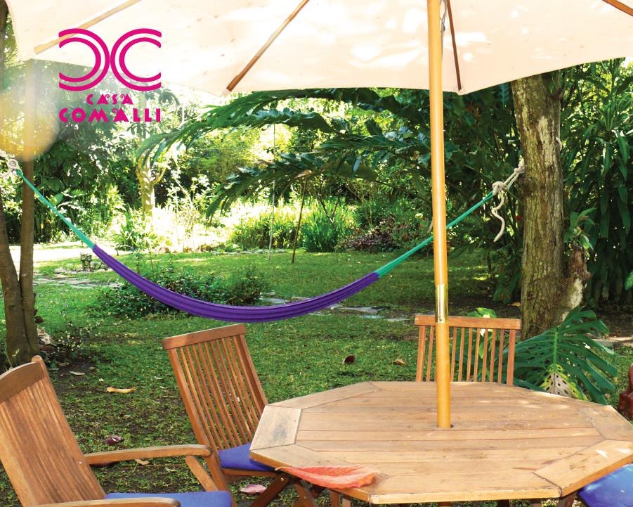 leetx-google-photo-48459-1