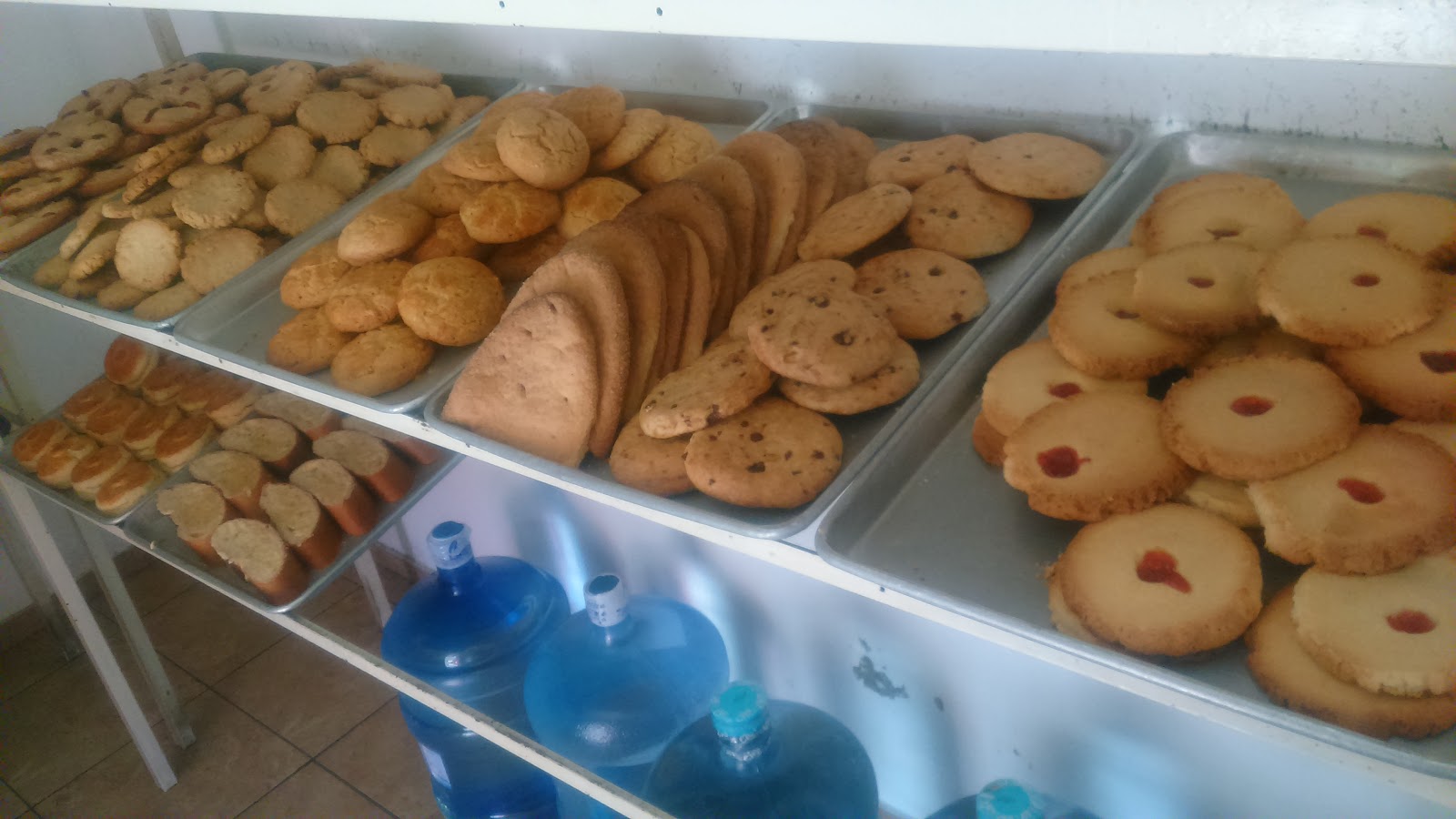 leetx-google-photo-48594-2 leetx-google-photo-48594-2