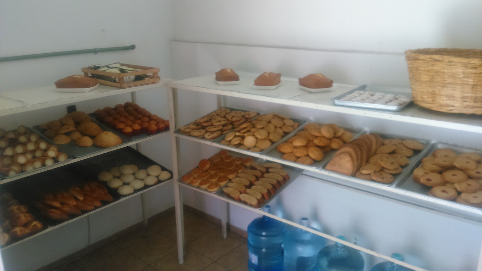 leetx-google-photo-48594-4 leetx-google-photo-48594-4