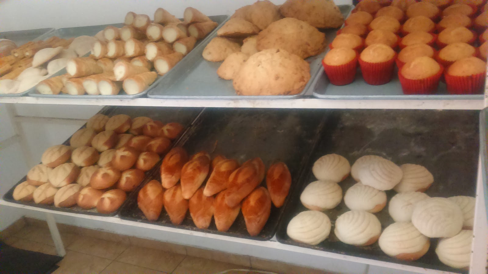 leetx-google-photo-48594-7 leetx-google-photo-48594-7