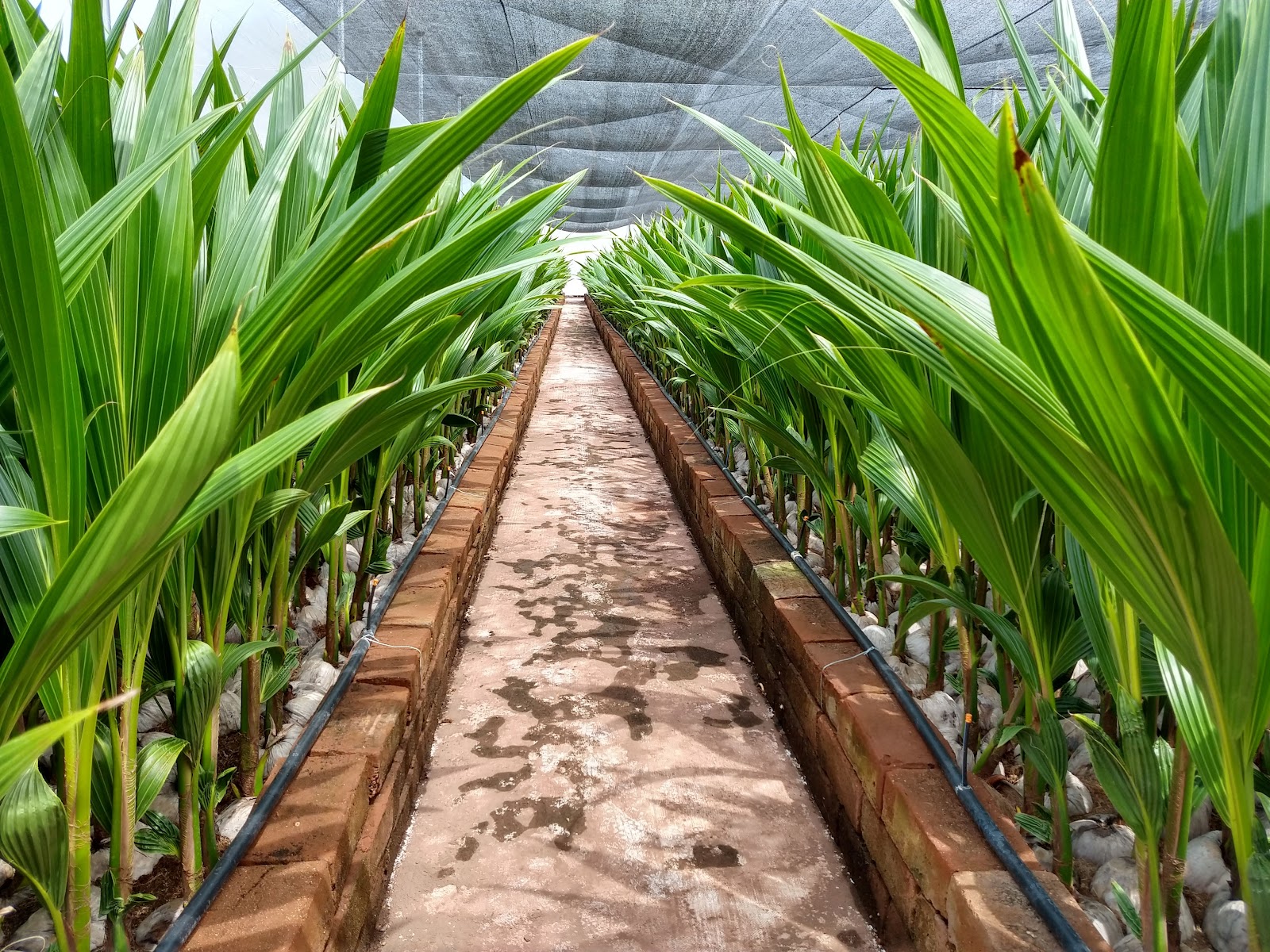 leetx-google-photo-49095-1