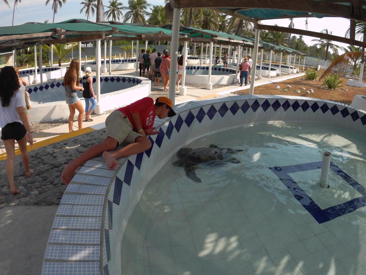 leetx-google-photo-49148-1