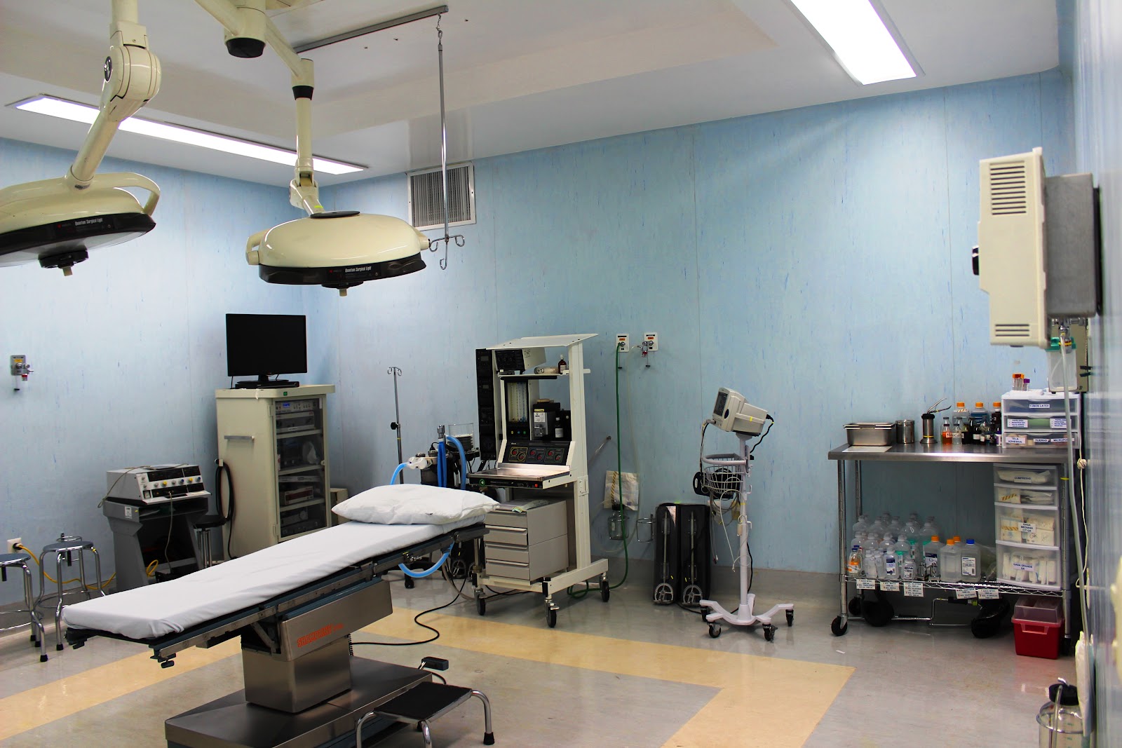 leetx-google-photo-1770406462927-0-2 leetx-google-photo-1770406462927-0-2