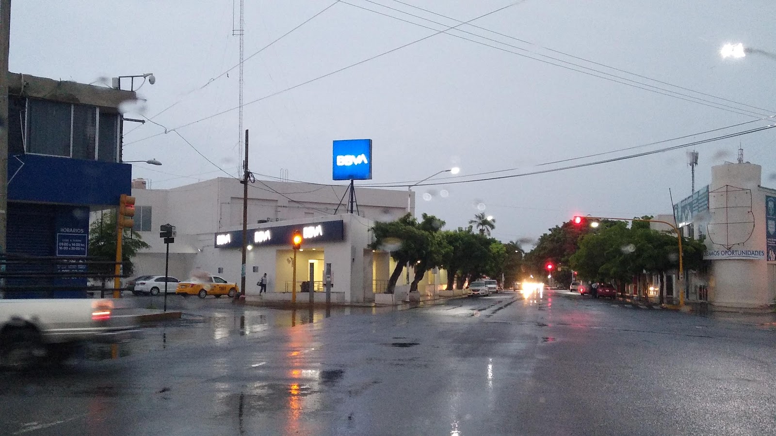 leetx-google-photo-49217-4-4 leetx-google-photo-49217-4-4