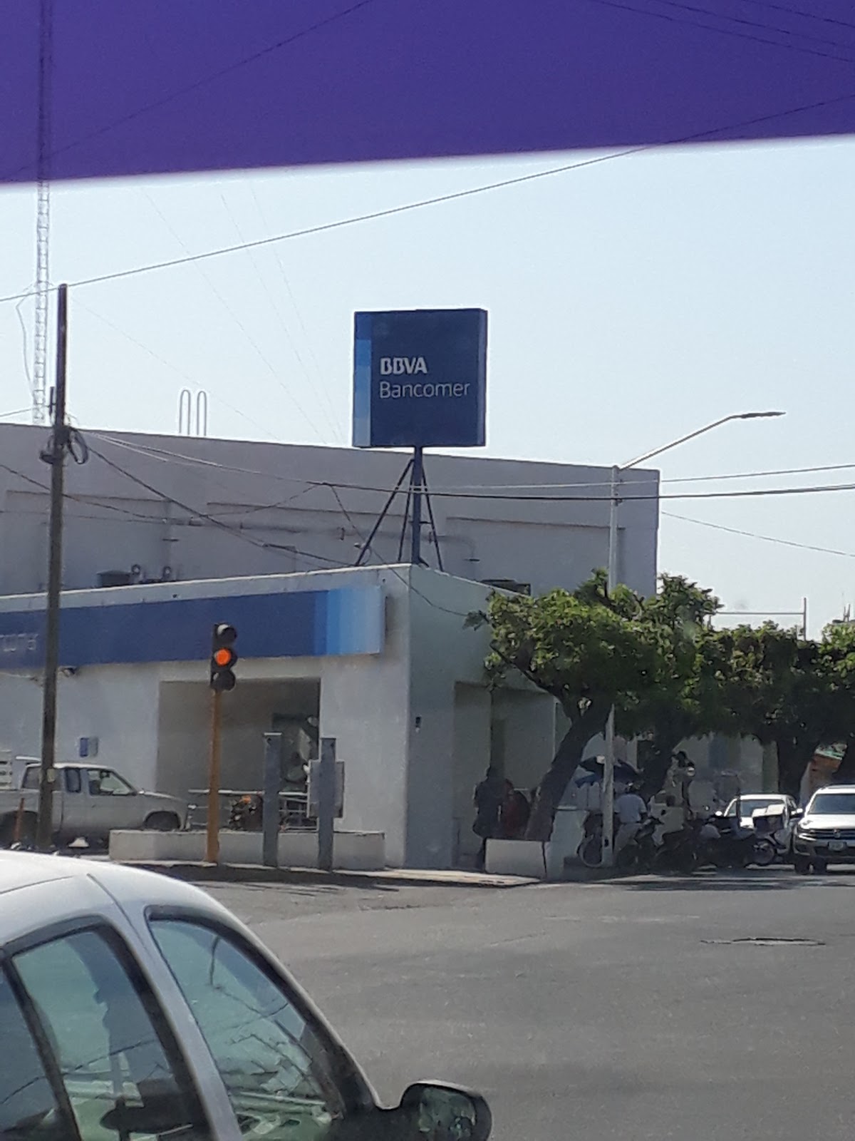 leetx-google-photo-49217-8-2 leetx-google-photo-49217-8-2