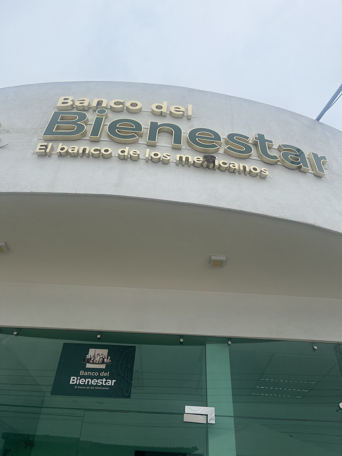 leetx-google-photo-49226-4-2 leetx-google-photo-49226-4-2