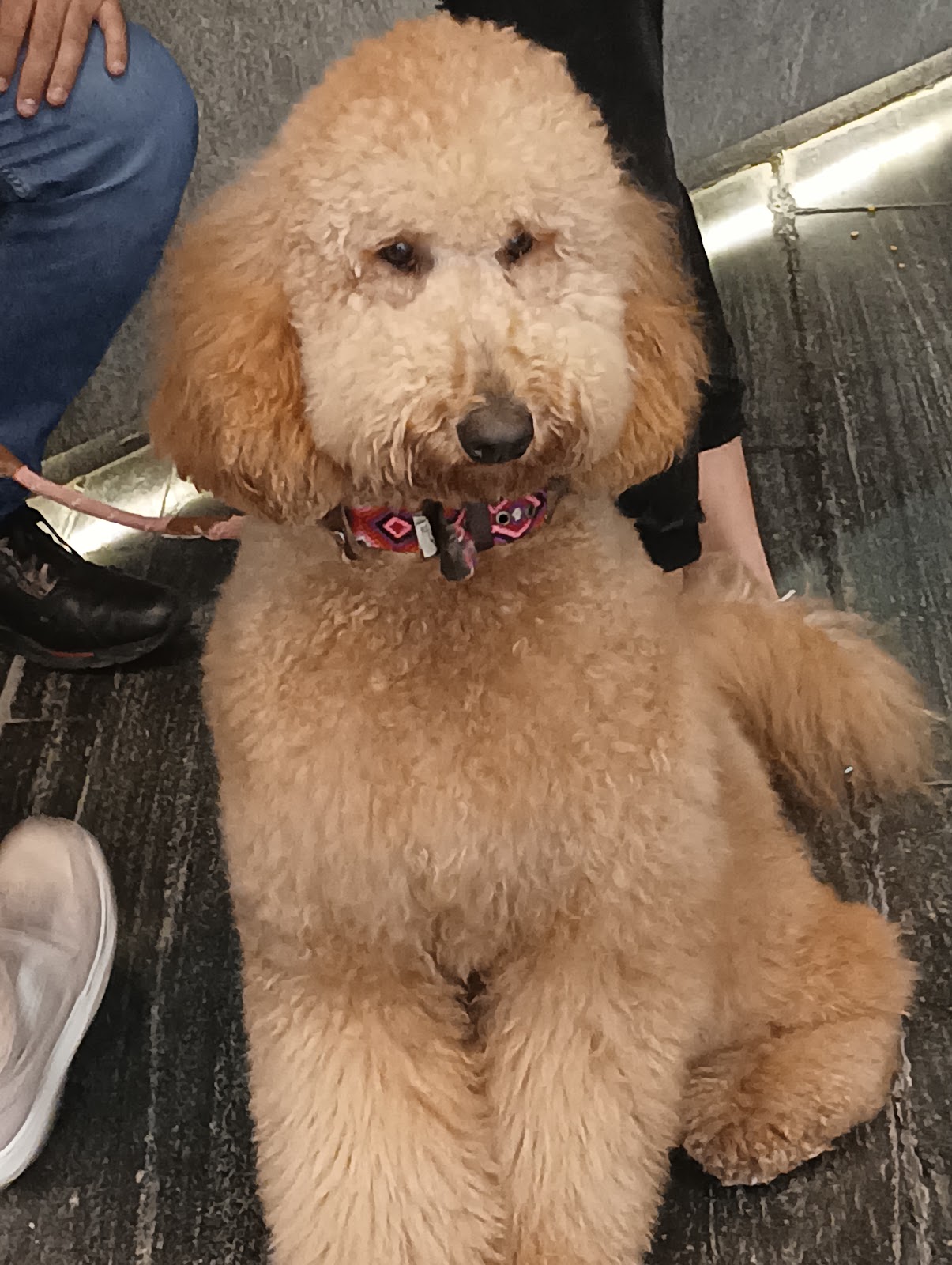 leetx-google-photo-49904-1