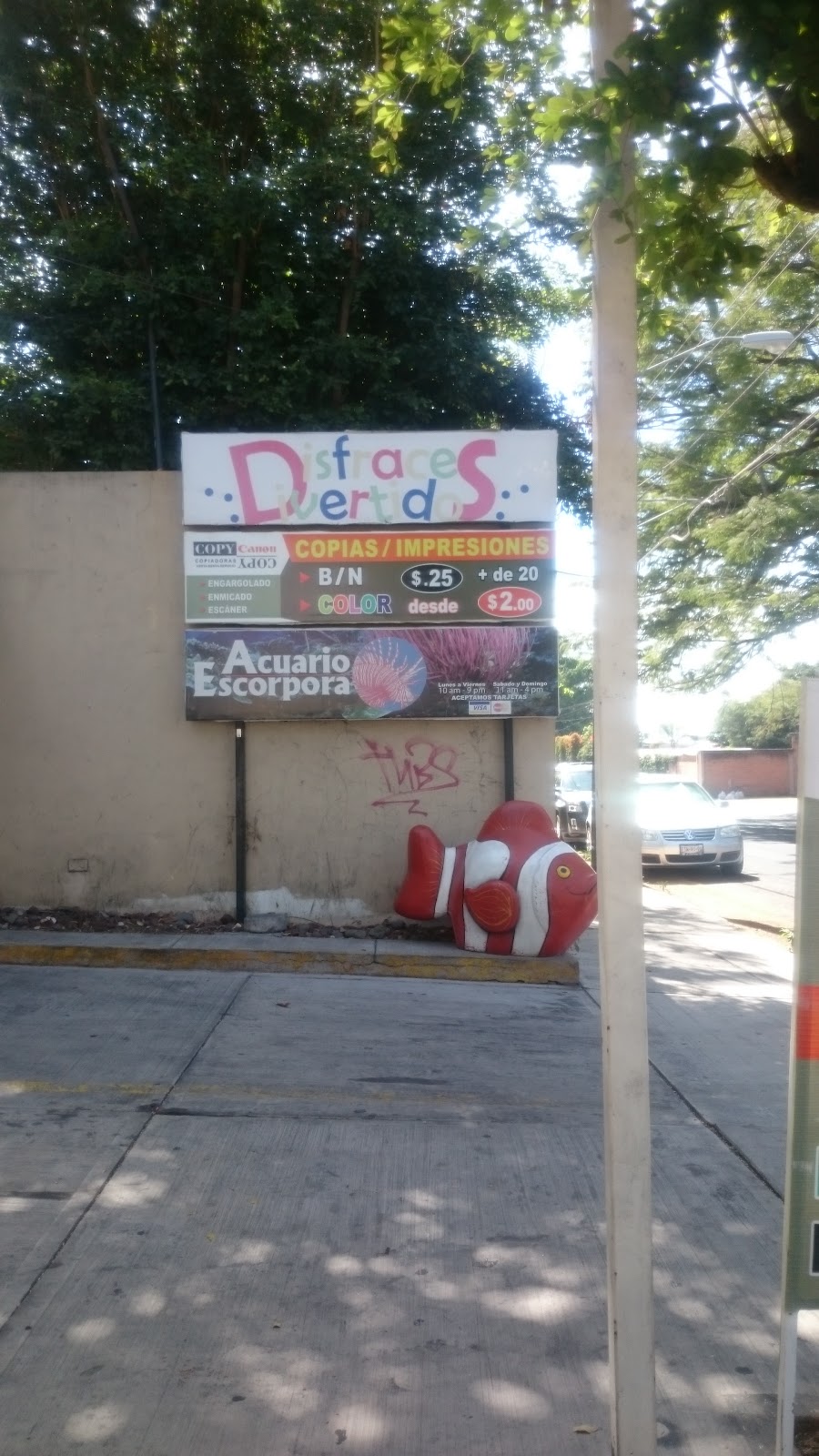 leetx-google-photo-50058-1