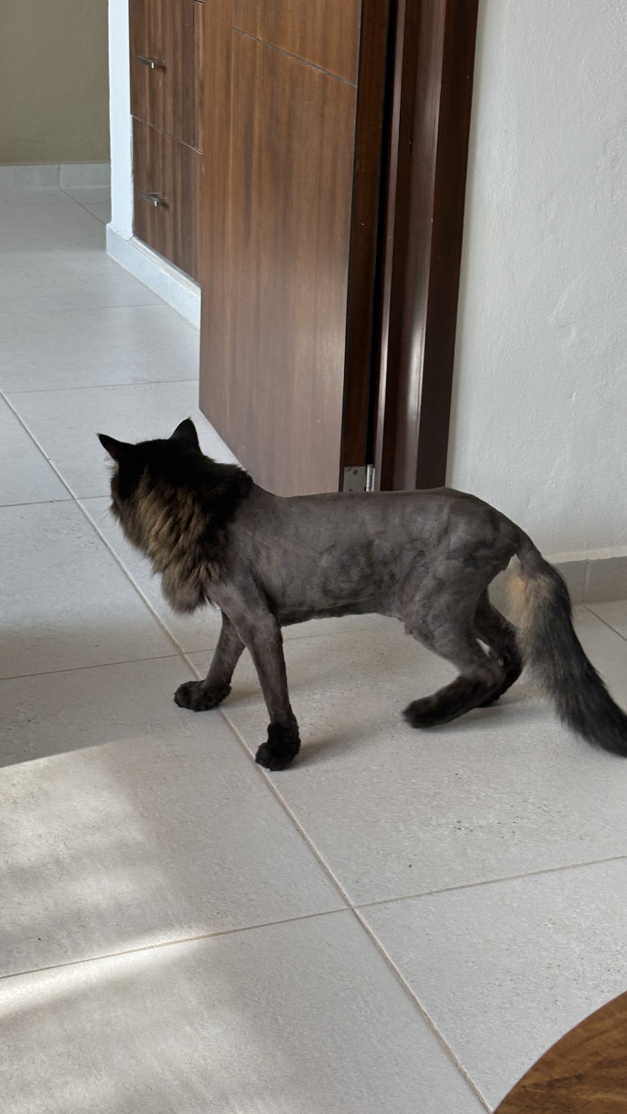 leetx-google-photo-50311-1