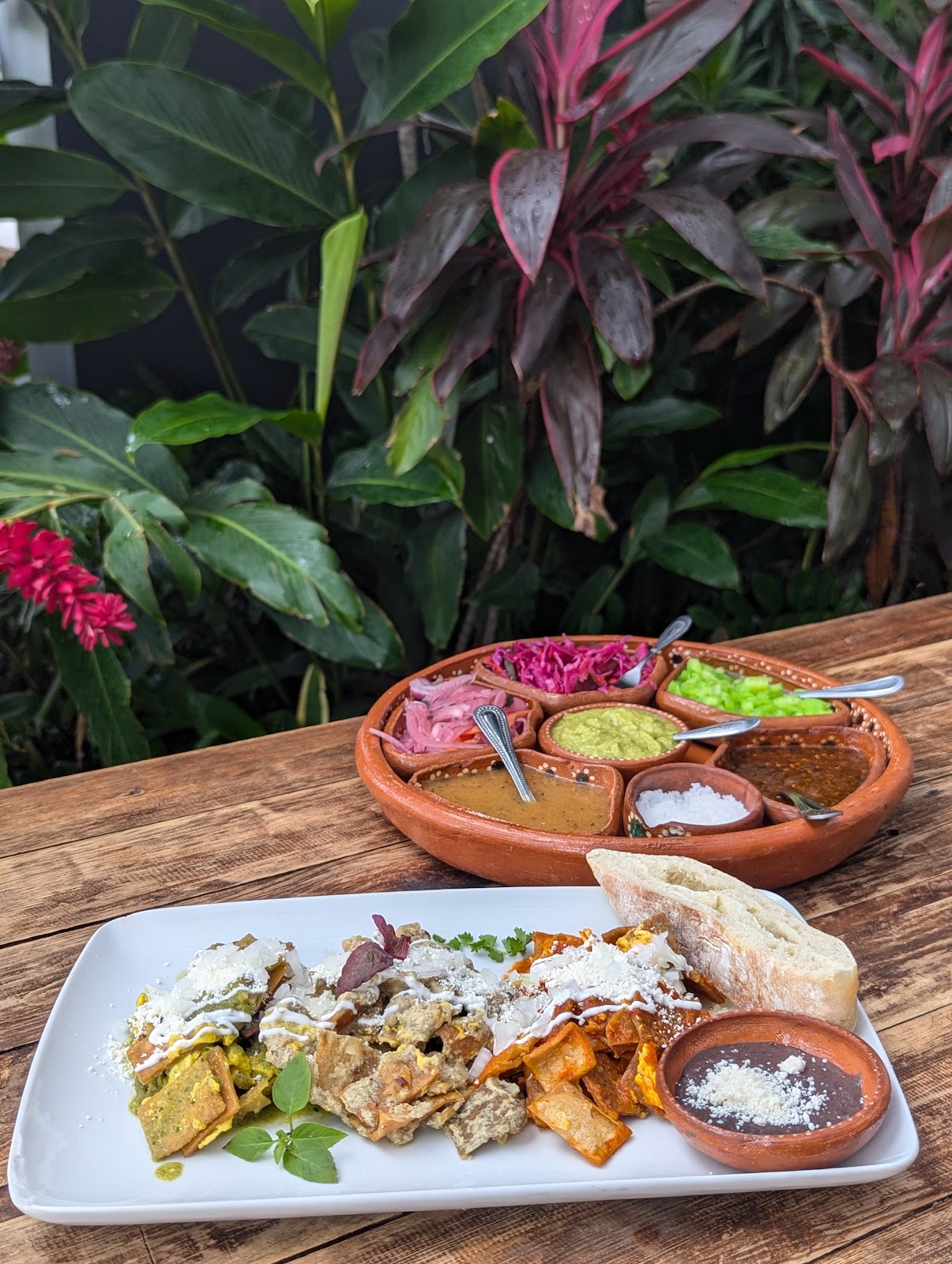 leetx-google-photo-50546-2 leetx-google-photo-50546-2