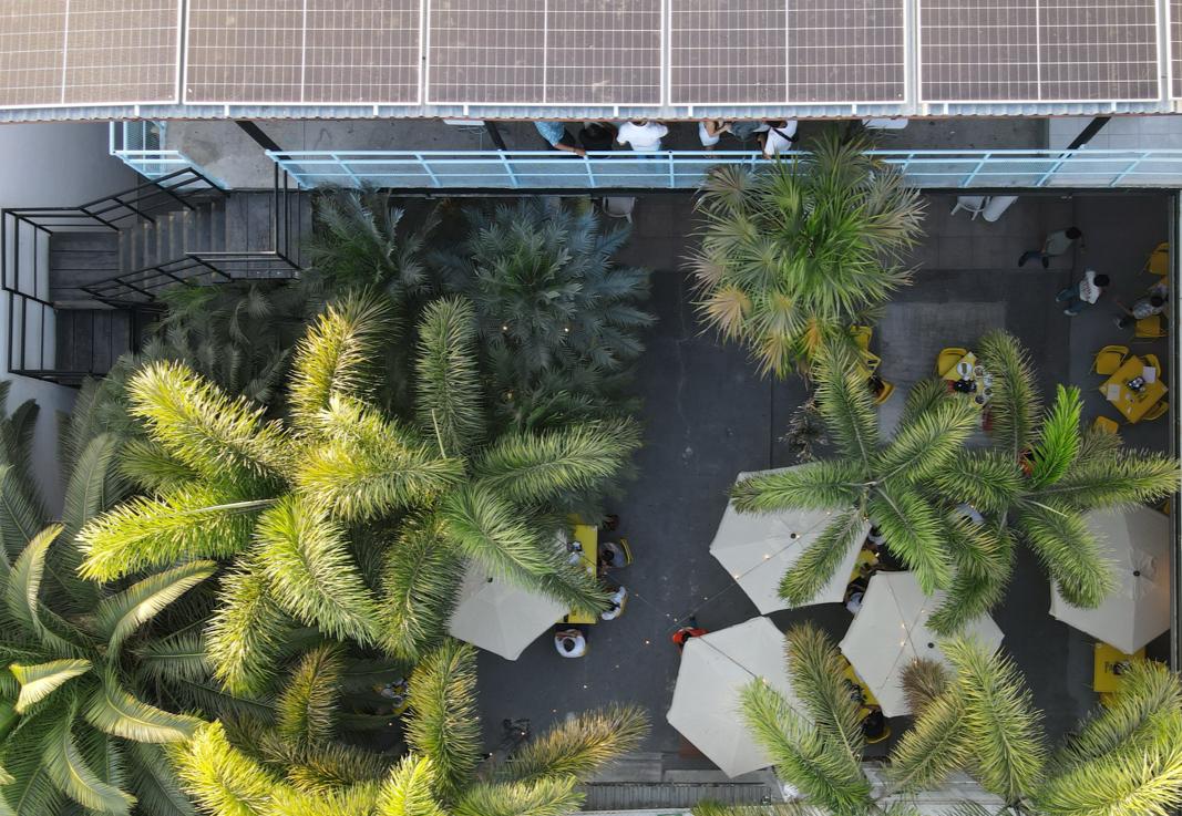 leetx-google-photo-50644-2 leetx-google-photo-50644-2