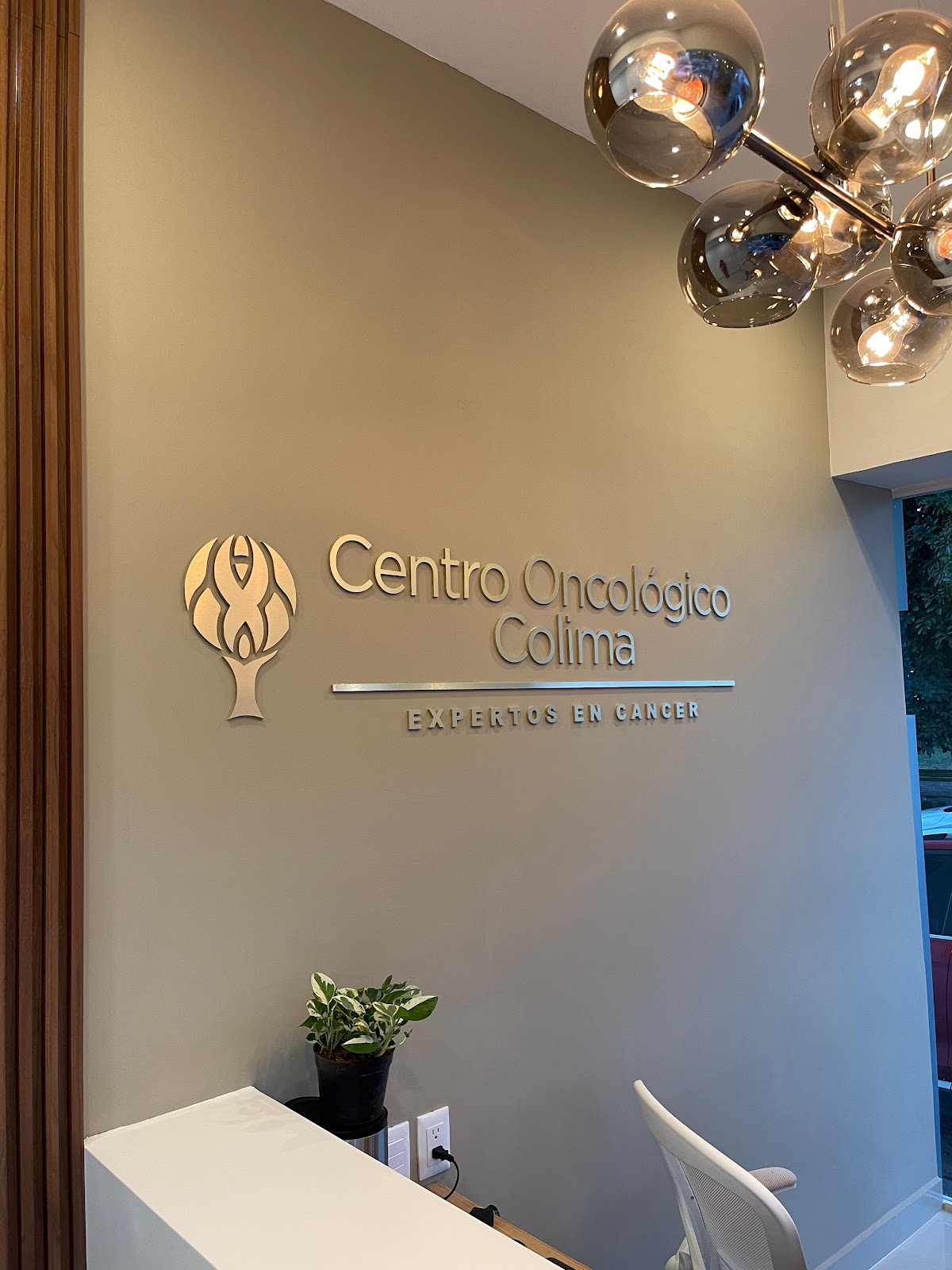 leetx-google-photo-50729-5 leetx-google-photo-50729-5