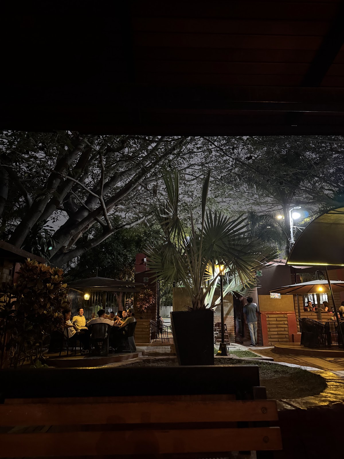 leetx-google-photo-50991-5 leetx-google-photo-50991-5