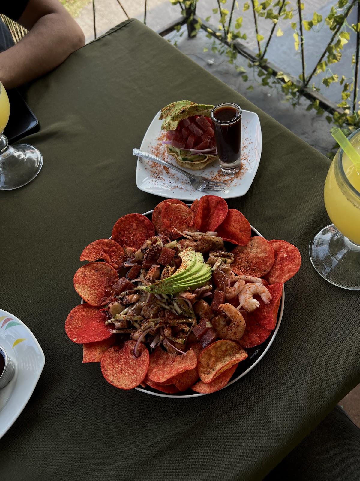 leetx-google-photo-51183-1