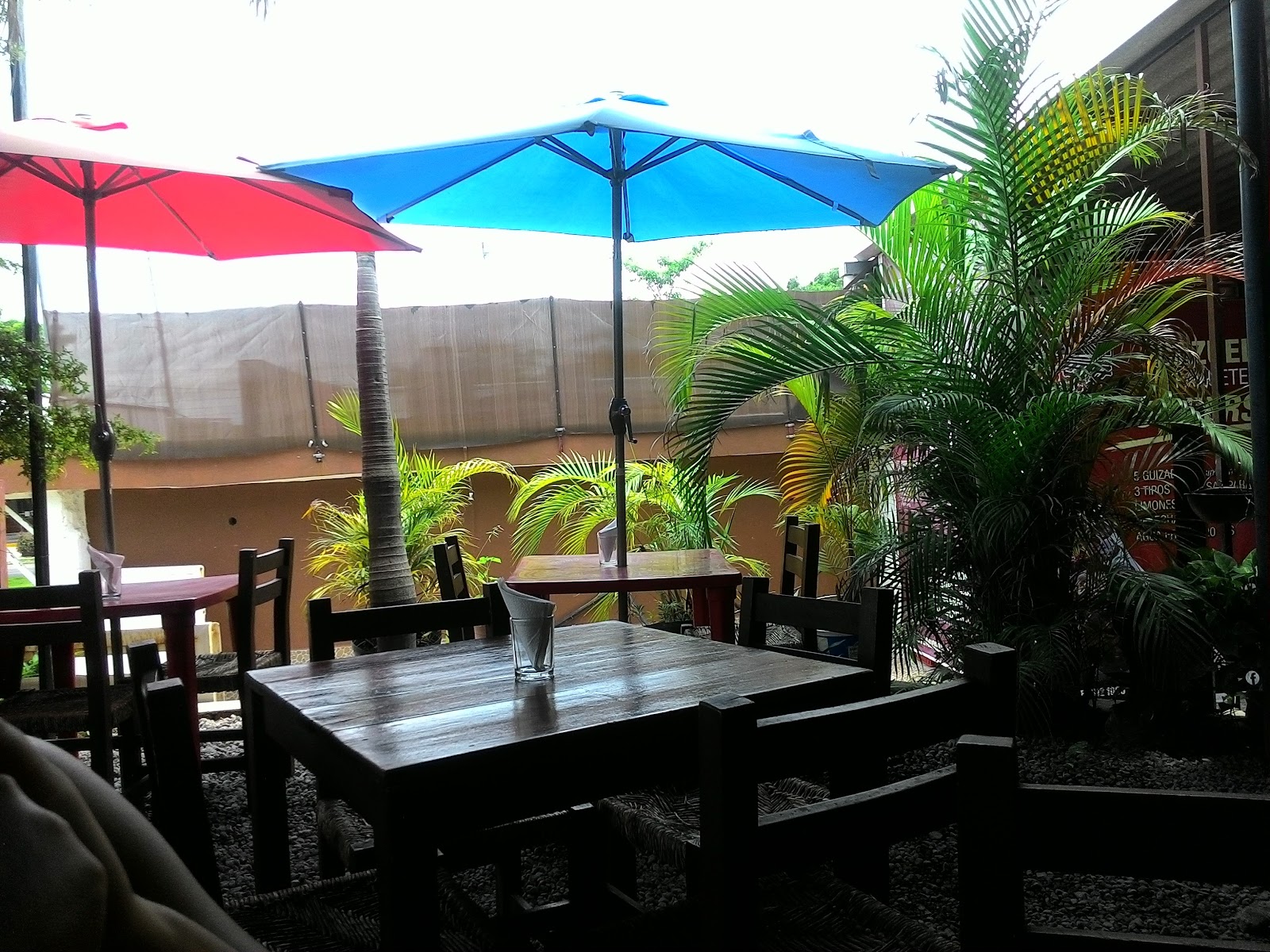 leetx-google-photo-51291-1