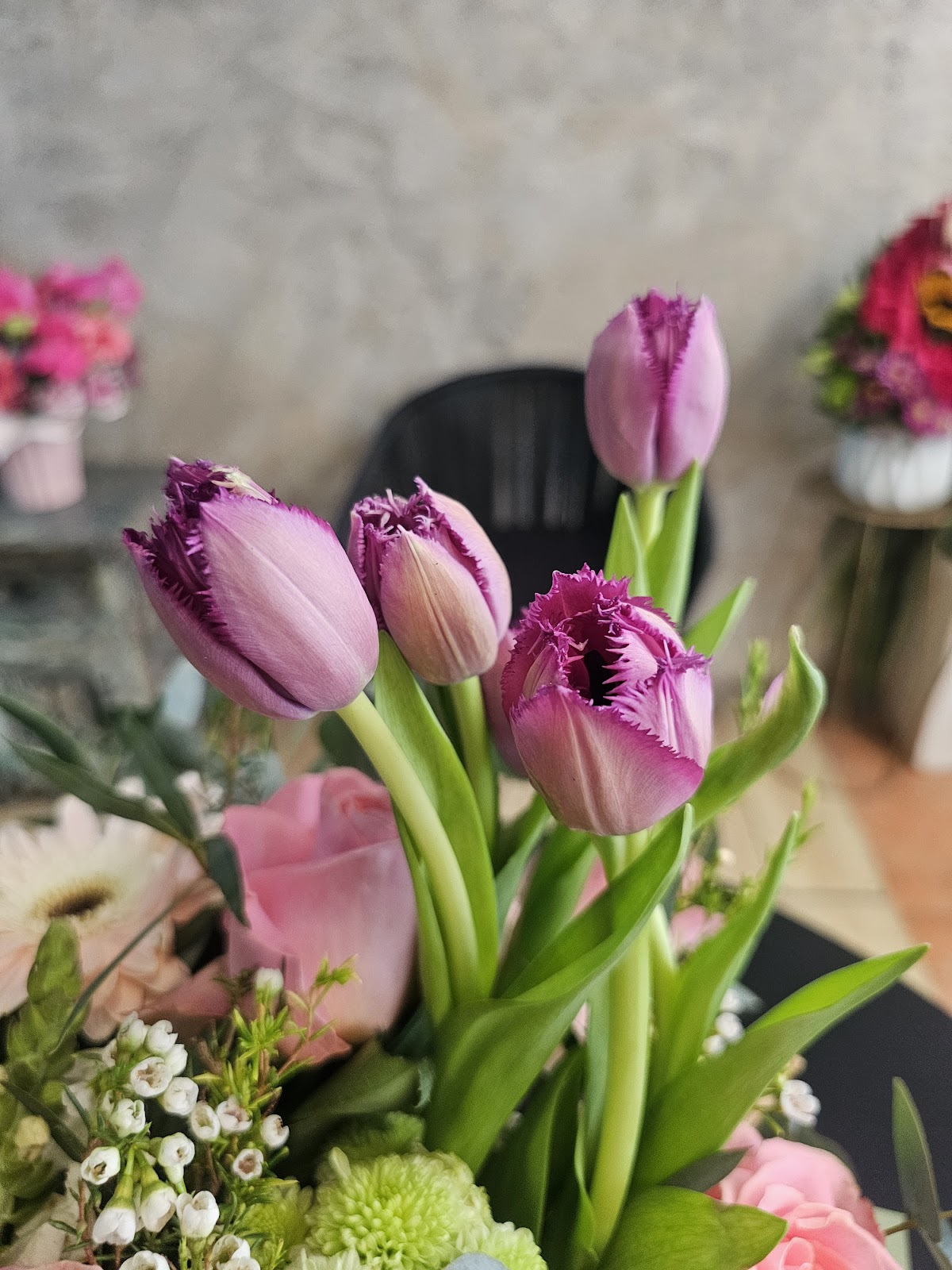 leetx-google-photo-51363-4 leetx-google-photo-51363-4